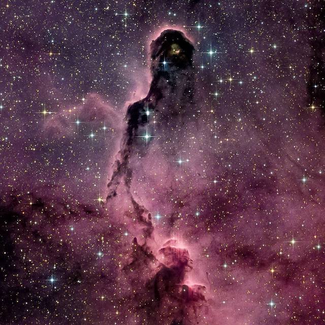 Elephant Trunk Nebula