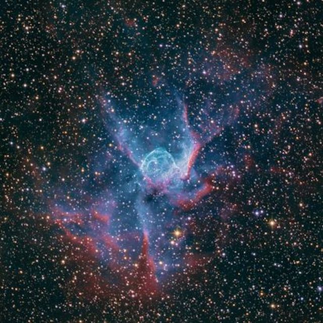  Thor's Helmet